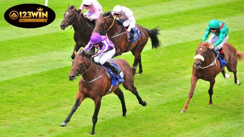 Cá cược đua ngựa – cuộc đua của tốc độ, chiến lược và cảm xúc